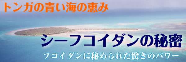 シーフコイダンの特徴