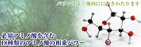 シーフコイダン