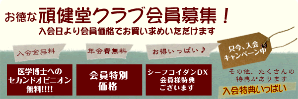 シーフコイダンプラス