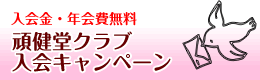 シーフコイダンプラス