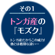 トンガ産モズク