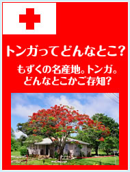 トンガってどんなところ