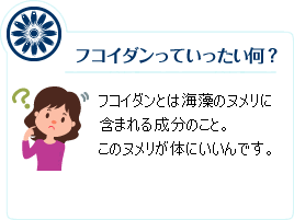 フコイダンって何？