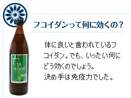 シーフコイダンって？